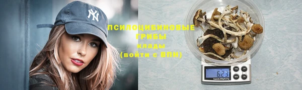 спиды Гусь-Хрустальный