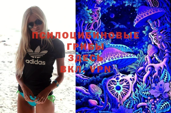 MESCALINE Гусиноозёрск