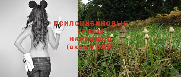 спиды Гусь-Хрустальный