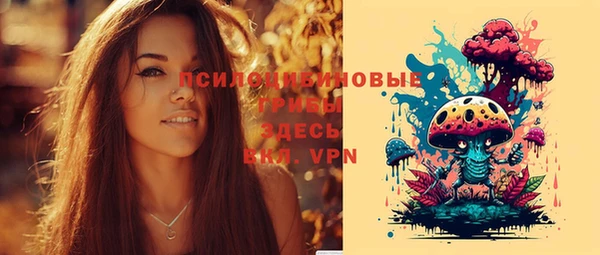 MESCALINE Гусев